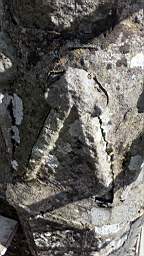 stcronans 1015.jpg